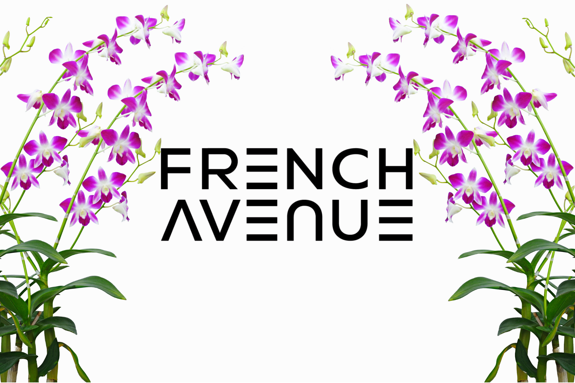 French Avenue